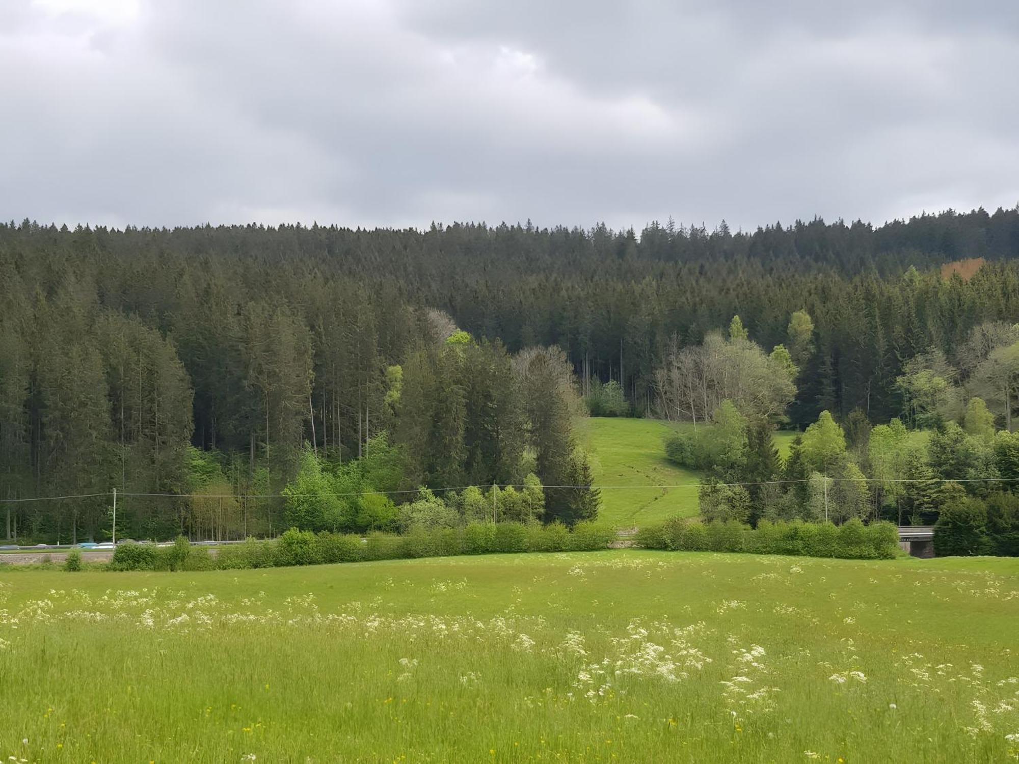 Haus Schwedes Διαμέρισμα Titisee-Neustadt Εξωτερικό φωτογραφία